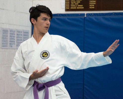 miranda-rsl-karate